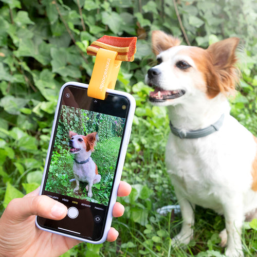 Clip Selfie per Animali Domestici Pefie InnovaGoods