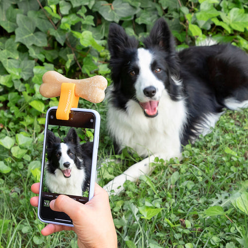 Clip Selfie per Animali Domestici Pefie InnovaGoods